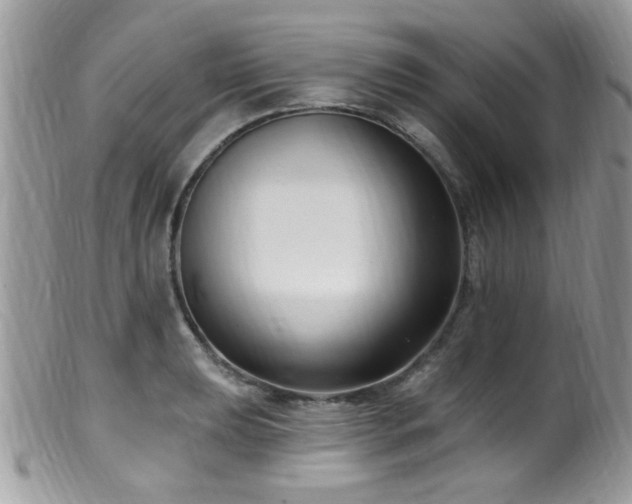 X0000099521039200805151519