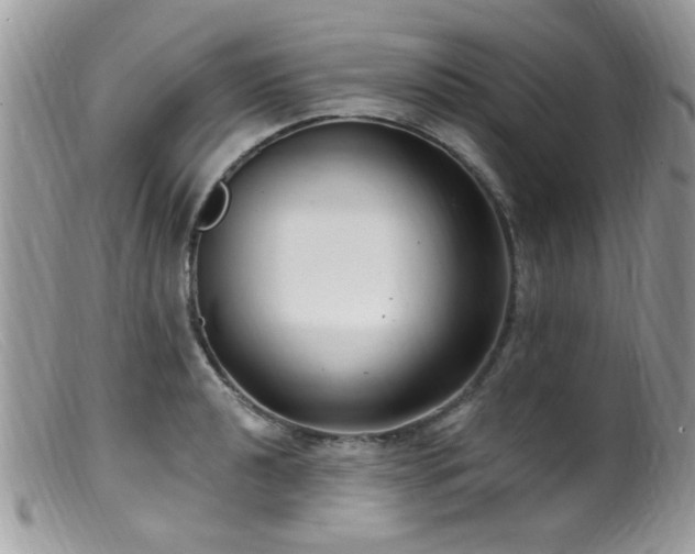 X0000099521040200805151519