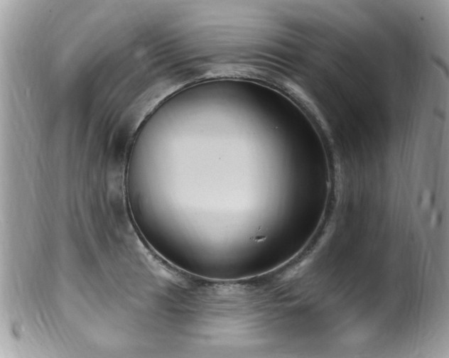 X0000099521041200805151519