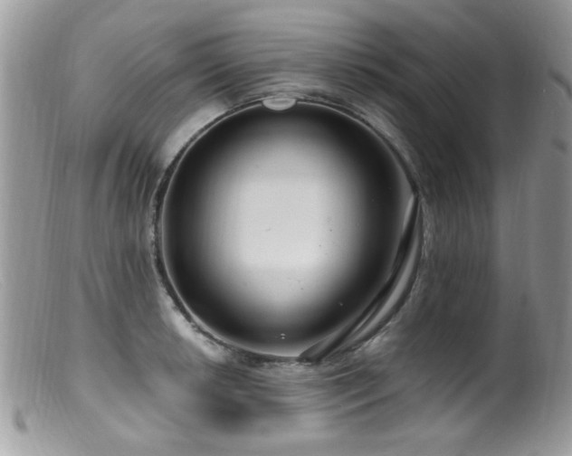 X0000099521042200805151519