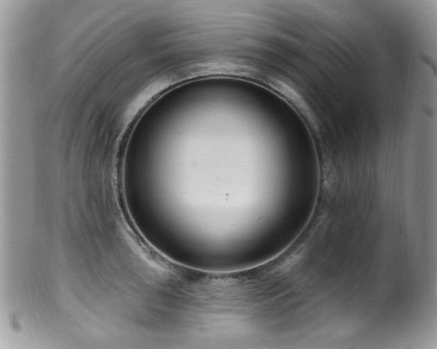 X0000099521043200805151519