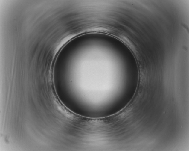 X0000099521044200805151519