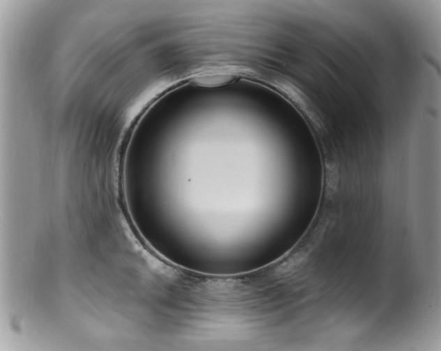 X0000099521046200805151519