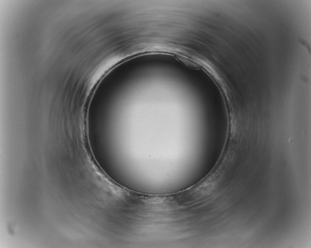 X0000099521048200805151519