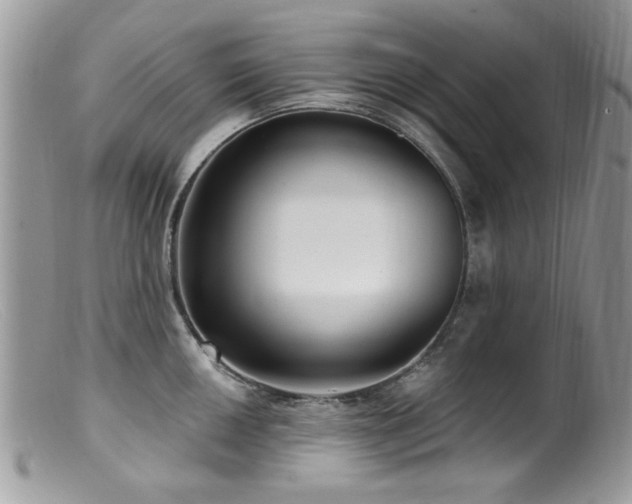 X0000099521050200805151519