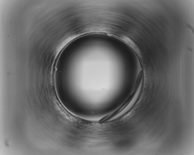 X0000099521052200805151519