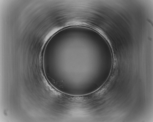 X0000099521053200805151519