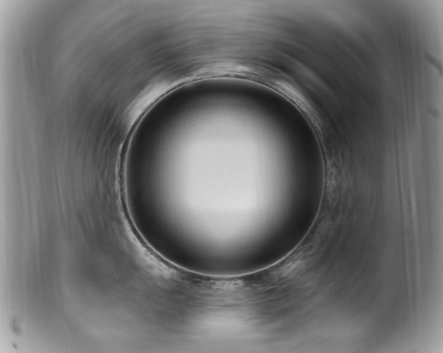 X0000099521055200805151520