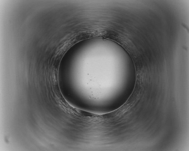 X0000099521058200805151519