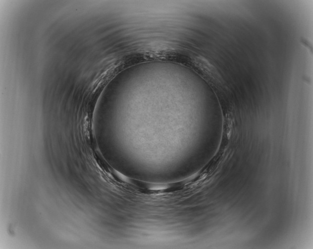 X0000099521060200805151519