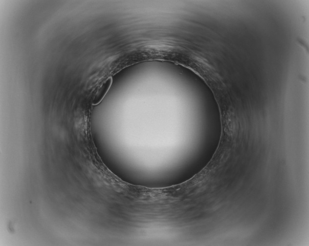 X0000099521061200805151519