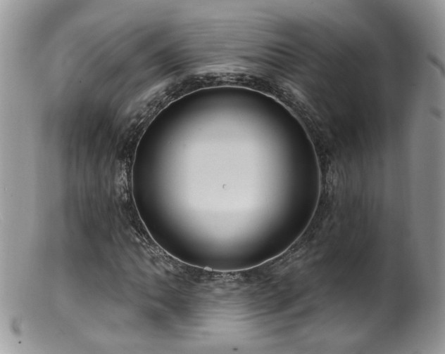 X0000099521062200805151519