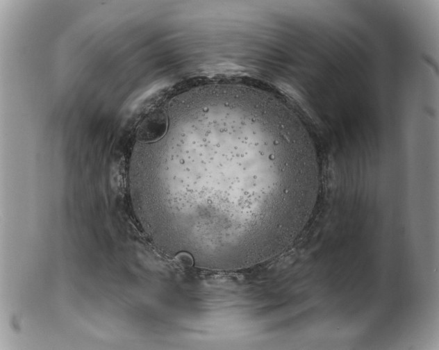 X0000099521063200805151519