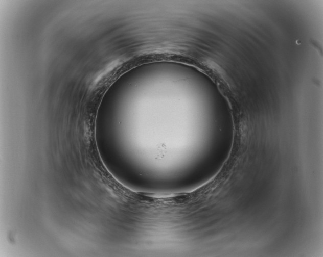 X0000099521064200805151519