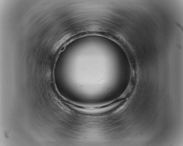 X0000099521065200805151518