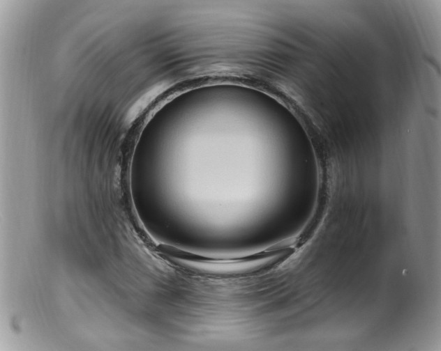 X0000099521066200805151518