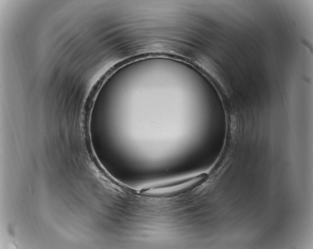 X0000099521068200805151518