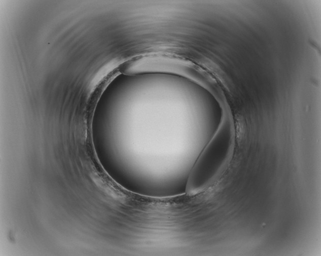 X0000099521069200805151518