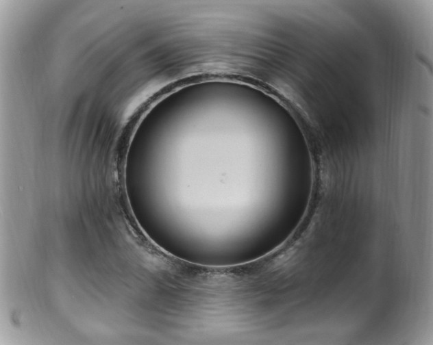 X0000099521070200805151518