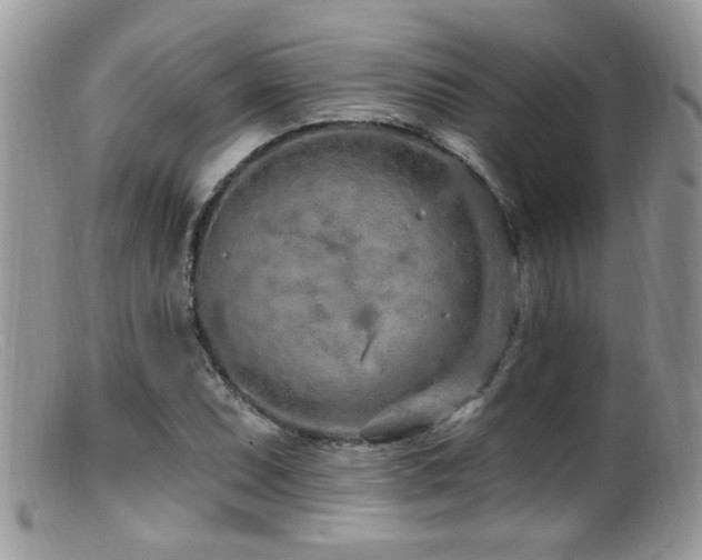 X0000099521071200805151518