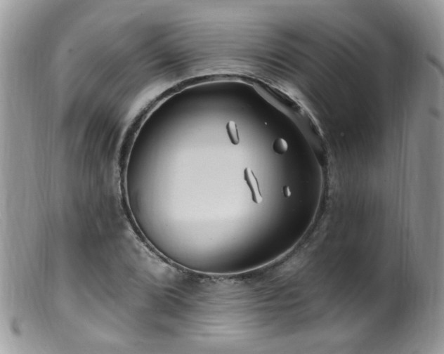 X0000099521072200805151518