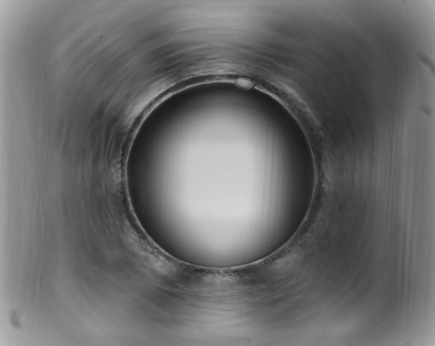 X0000099521073200805151518