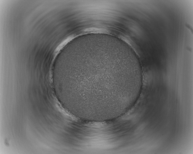 X0000099521074200805151518