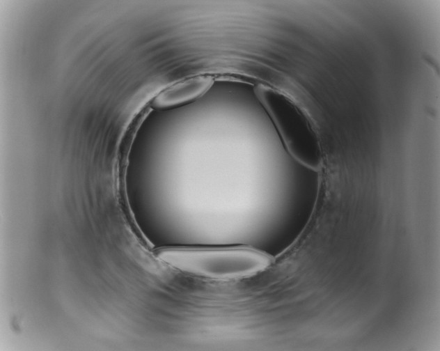 X0000099521076200805151518