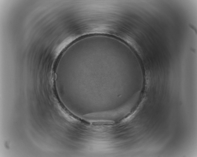 X0000099521077200805151518
