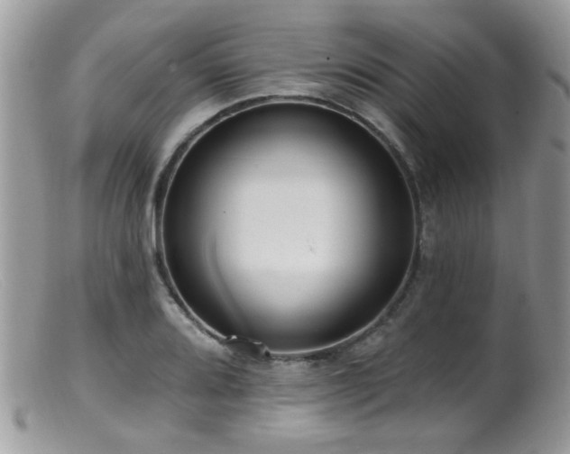 X0000099521080200805151518