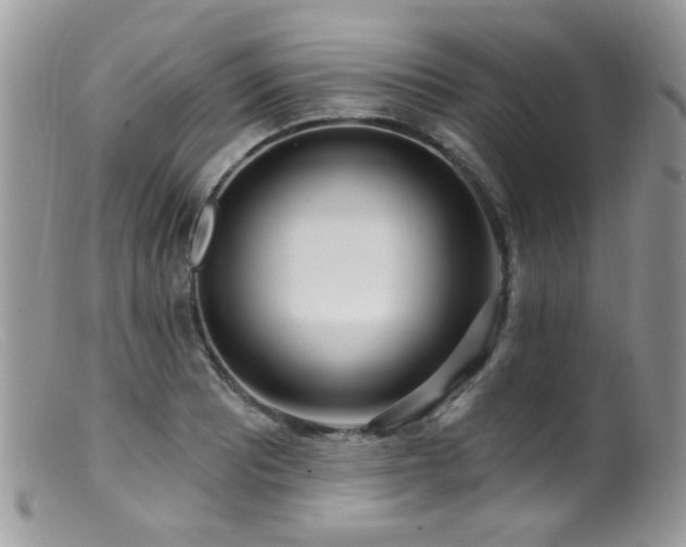X0000099521081200805151518