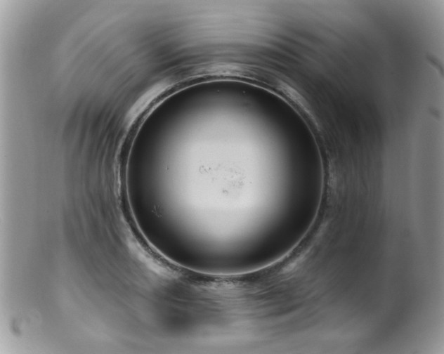 X0000099521082200805151518