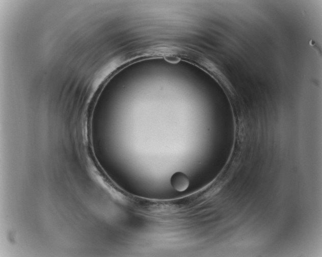 X0000099521083200805151518