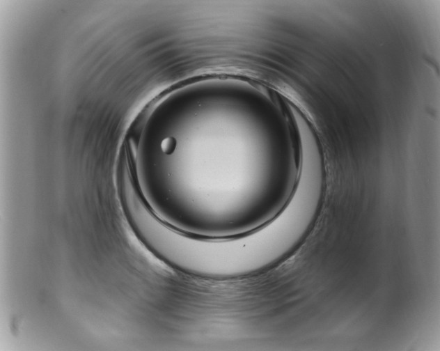 X0000099521084200805151518