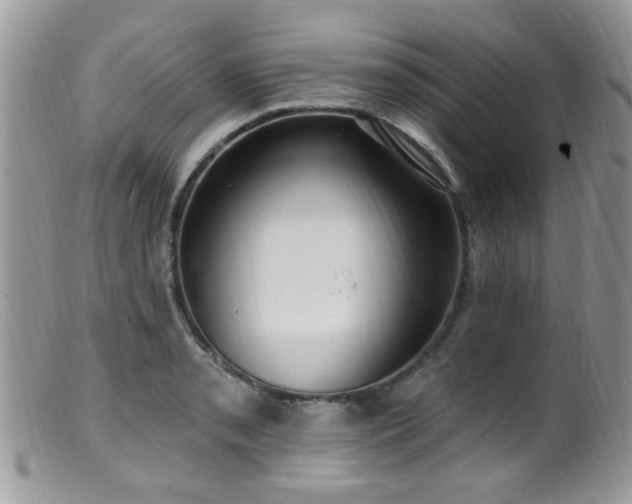 X0000099521085200805151518