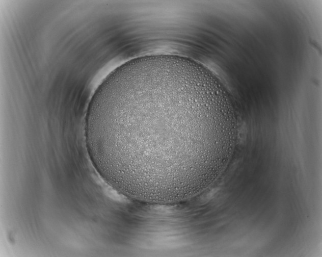 X0000099521086200805151518