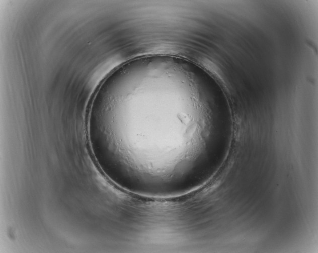 X0000099521087200805151518