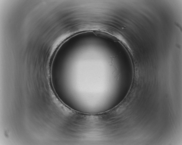 X0000099521088200805151518