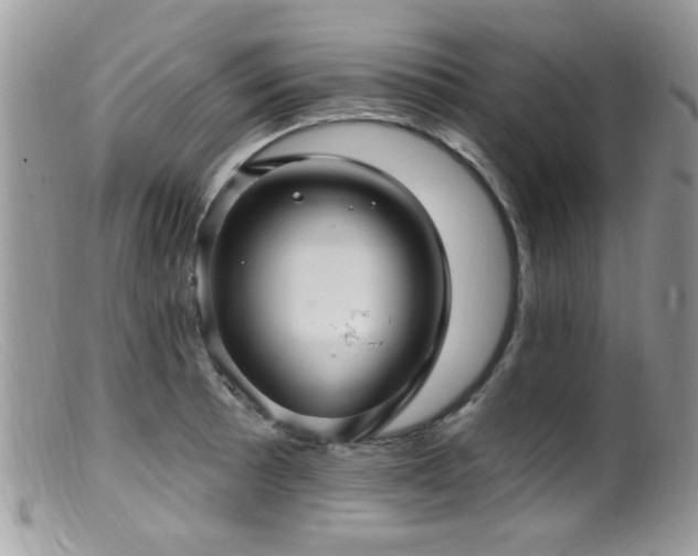 X0000099521089200805151518