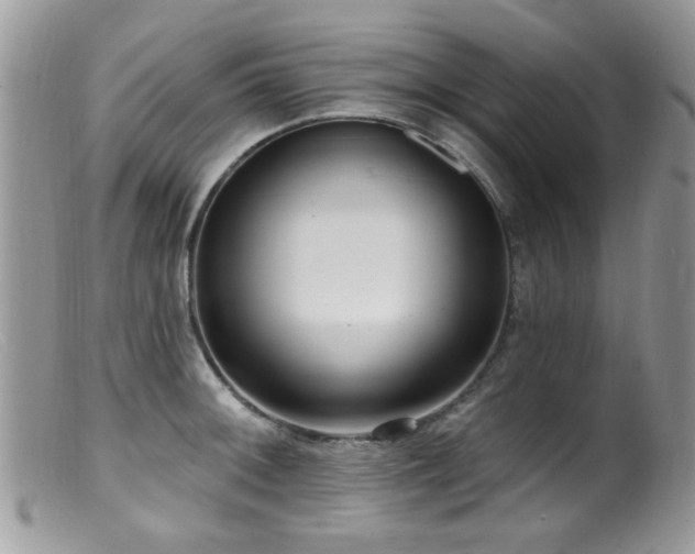 X0000099521092200805151518