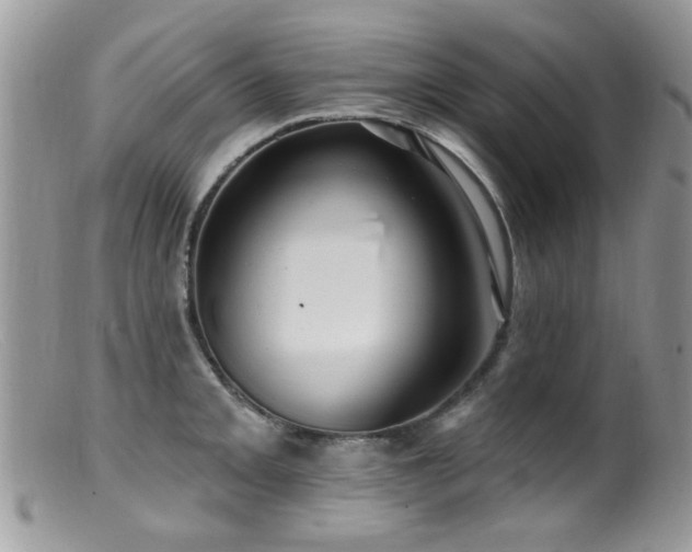X0000099521093200805151518
