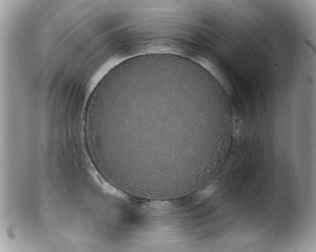 X0000099521094200805151518