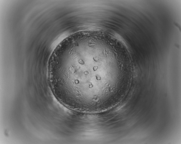 X0000099521095200805151518