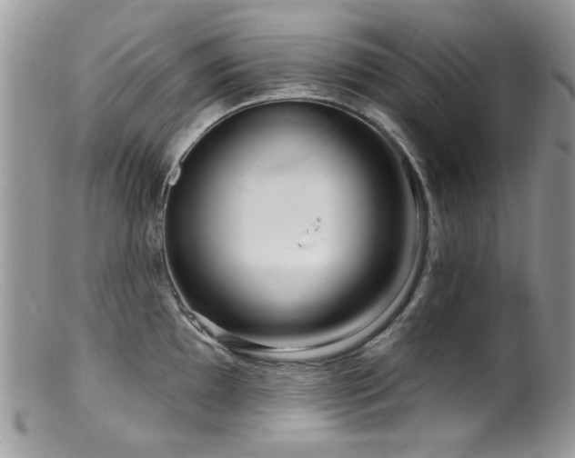 X0000099521097200805151518