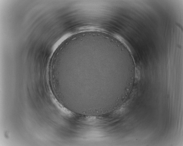 X0000099521098200805151518