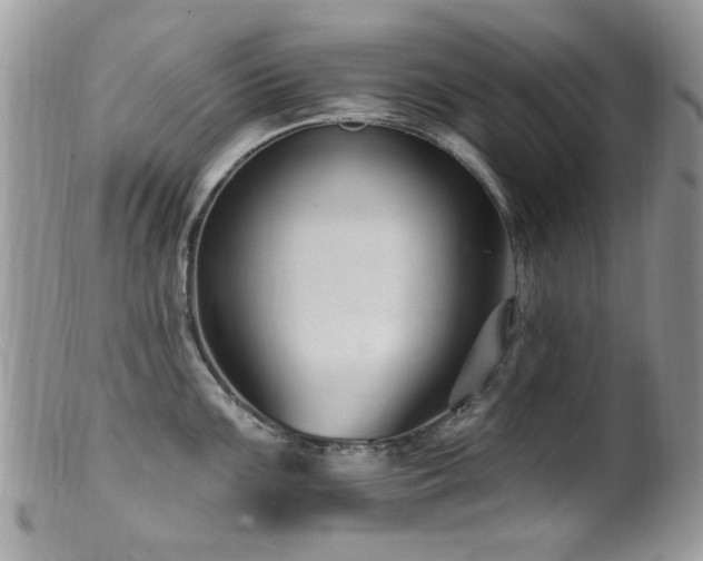 X0000099521099200805151518