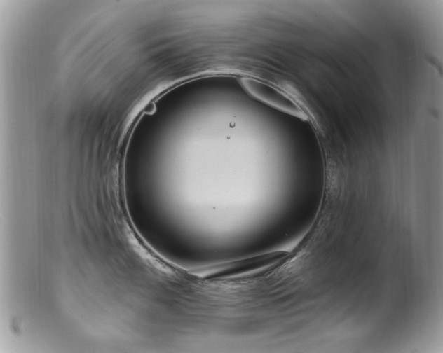 X0000099521100200805151518