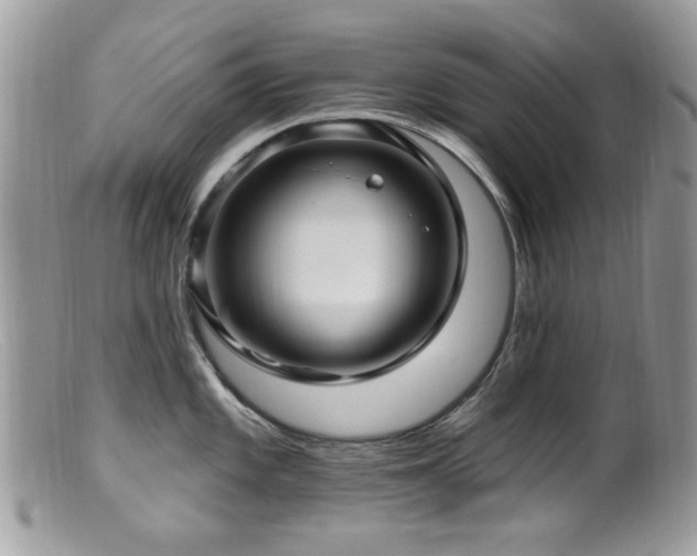 X0000099521101200805151518
