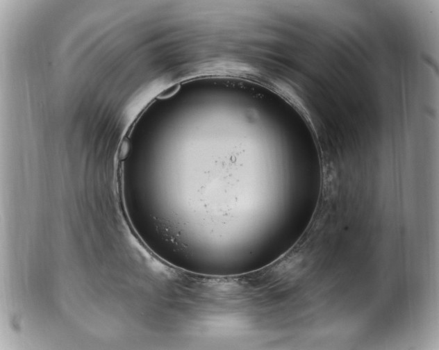 X0000099521103200805151518