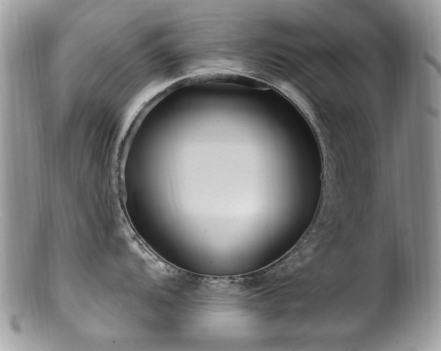 X0000099521104200805151518